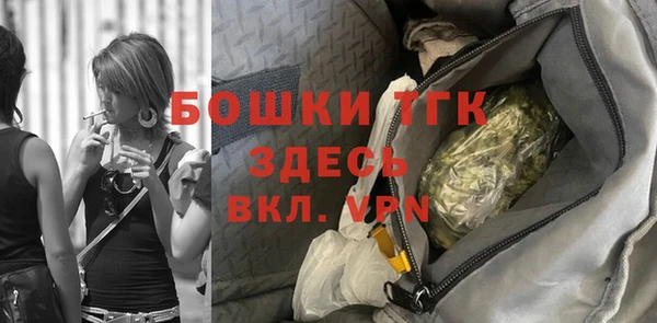 дживик Аркадак